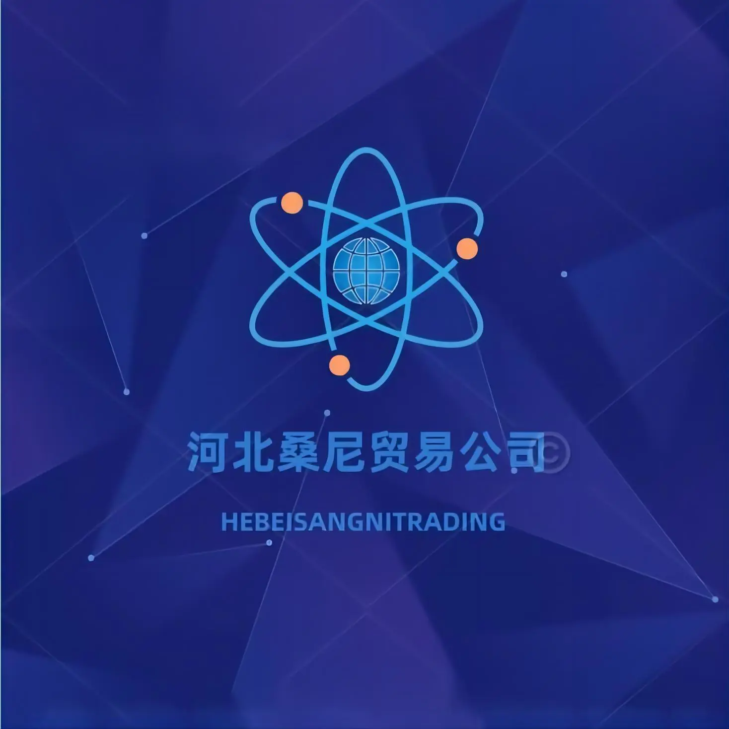 Hebei Sonny Trading Co., Ltd. logo