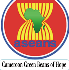 Aseans Cameroon Pvt Ltd logo