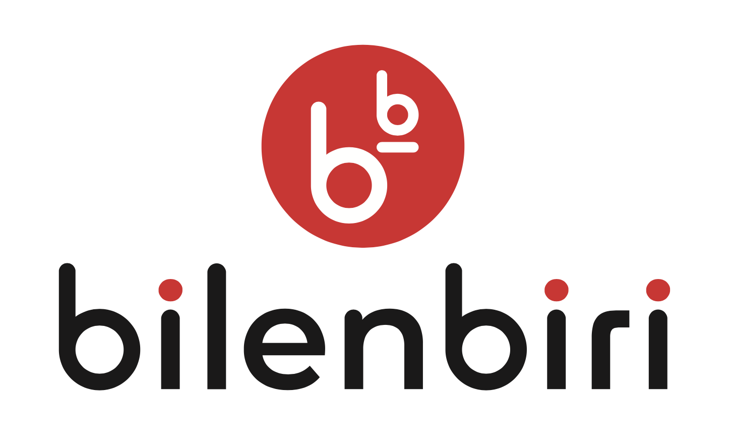 Bilen Biri Tedarik Dagitim Pazarlama Turizm Sanayi ve Ticaret Anonim Sirketi logo