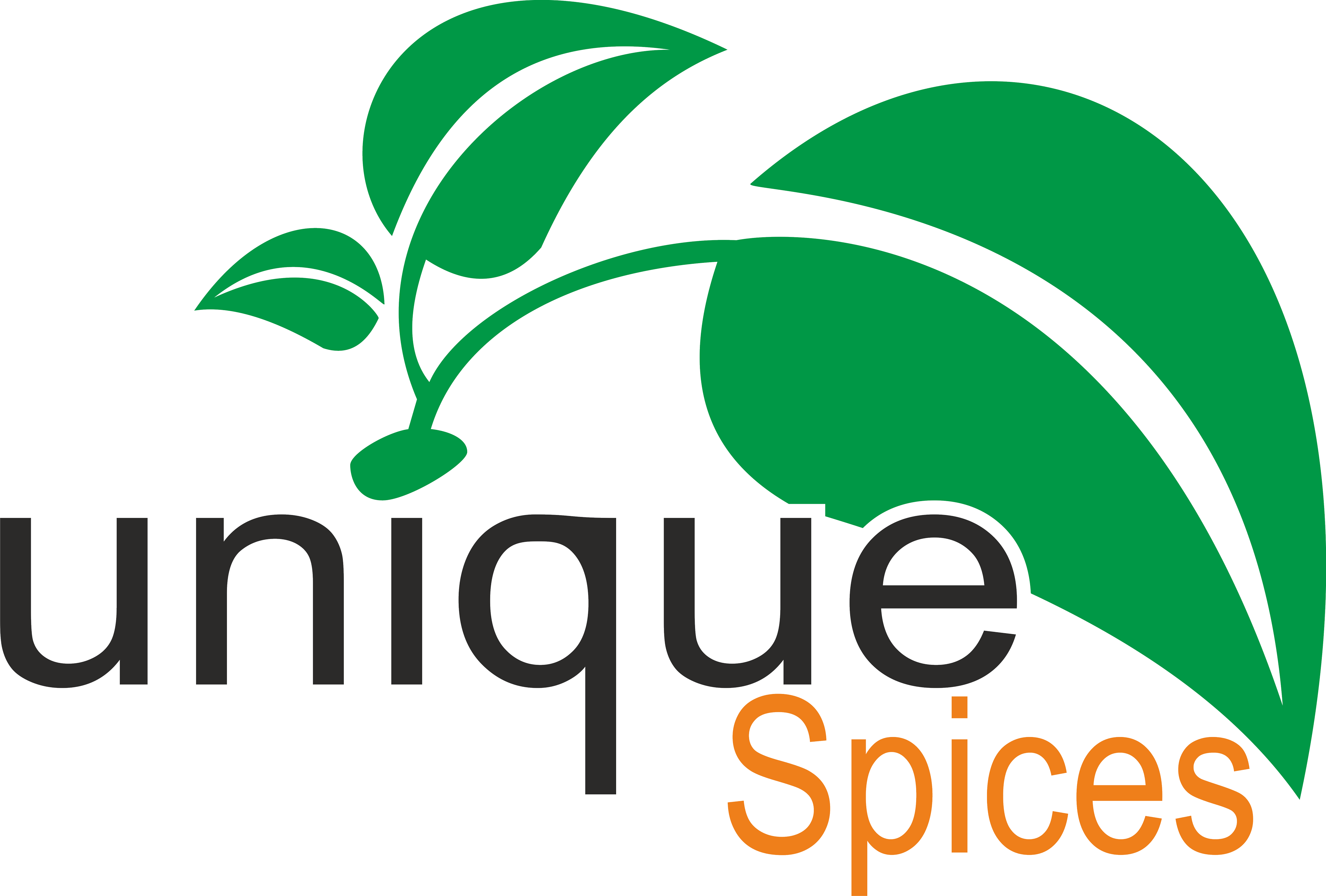 Unique Spices for Import and Export logo