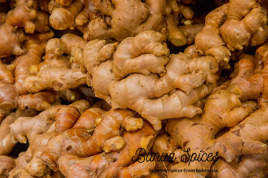 Ginger