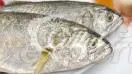 Blue Fish