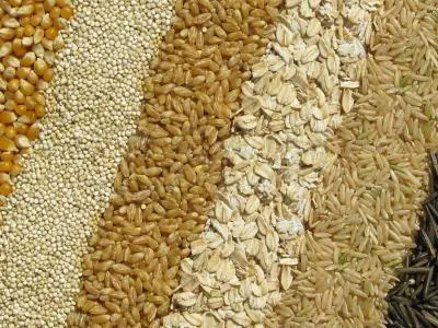 Agrogobal Grains