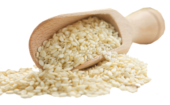 Sésamo