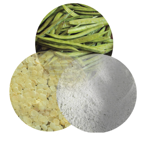 Guar Gum Powder 