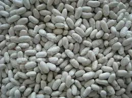 White Kidney Beans