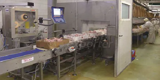 Food Processing Machines