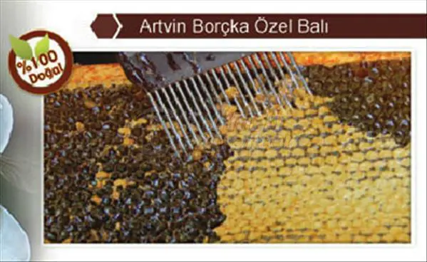 Special Honey Artvin Borcka