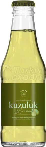 Lemon Flavored Mineral Water