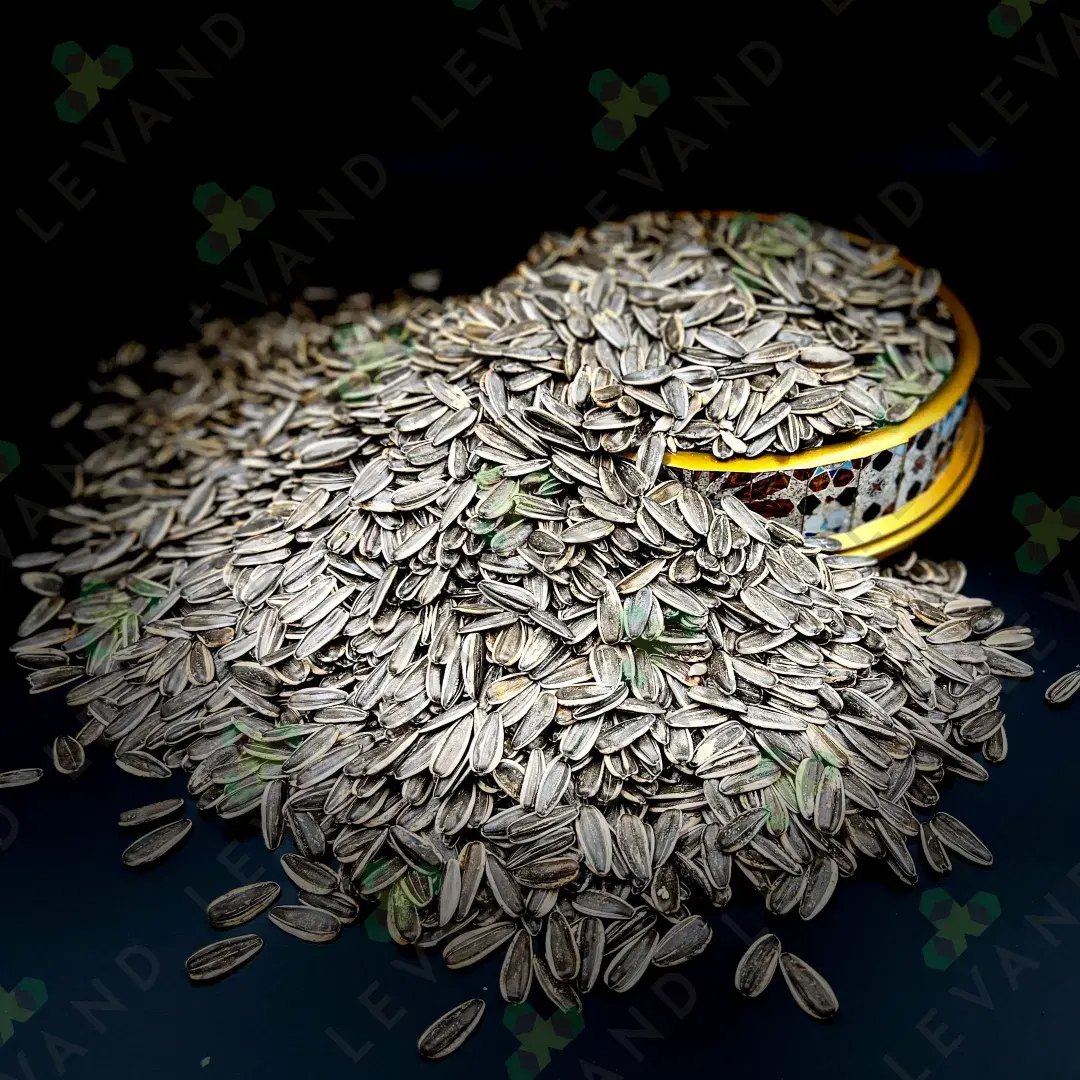 Sunflower Seed-Int İNternati̇onal Gida Ltd. ŞTi̇.