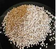 Sesame