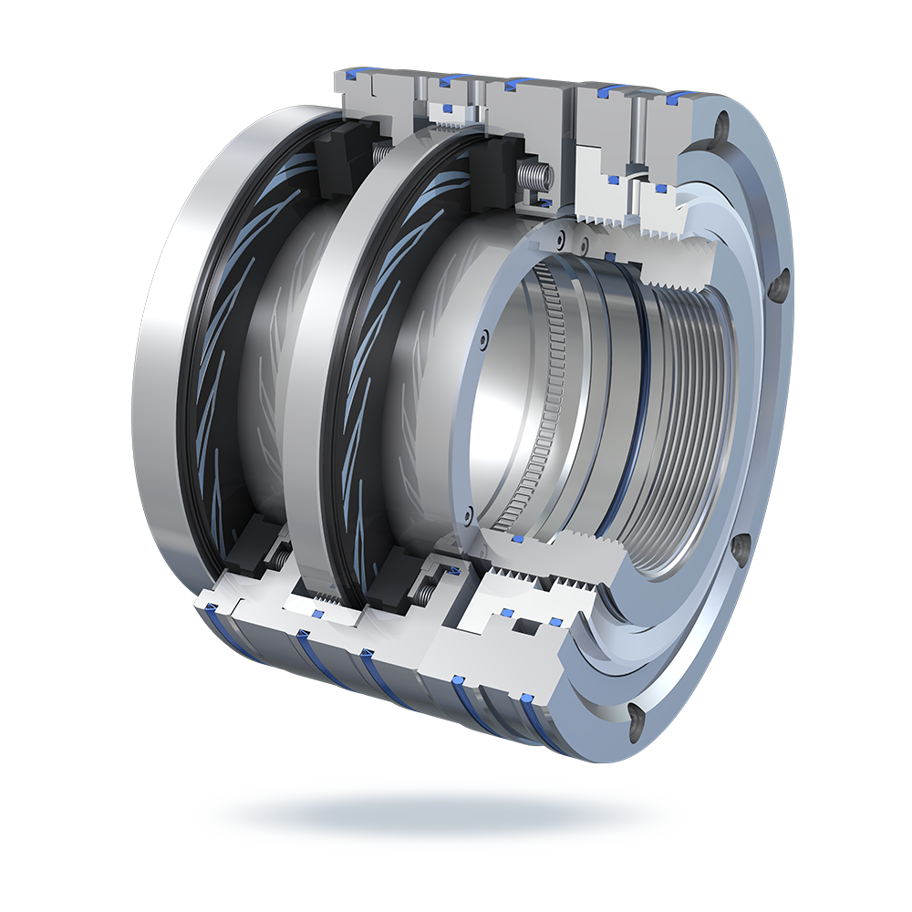 Dry gas seal ( DGS)