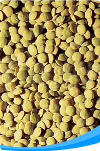 Green Lentil