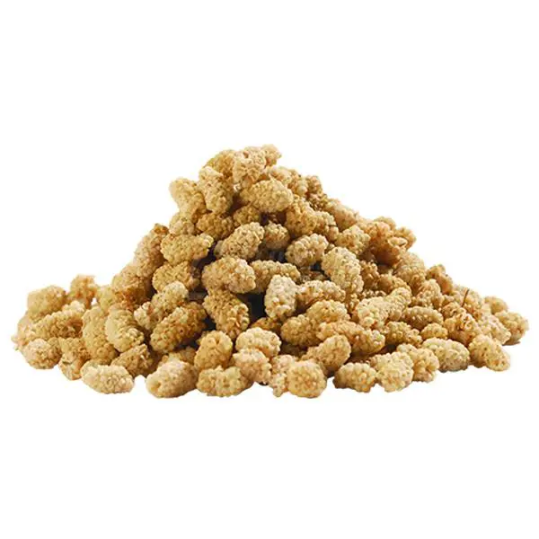 Dried Mulberry