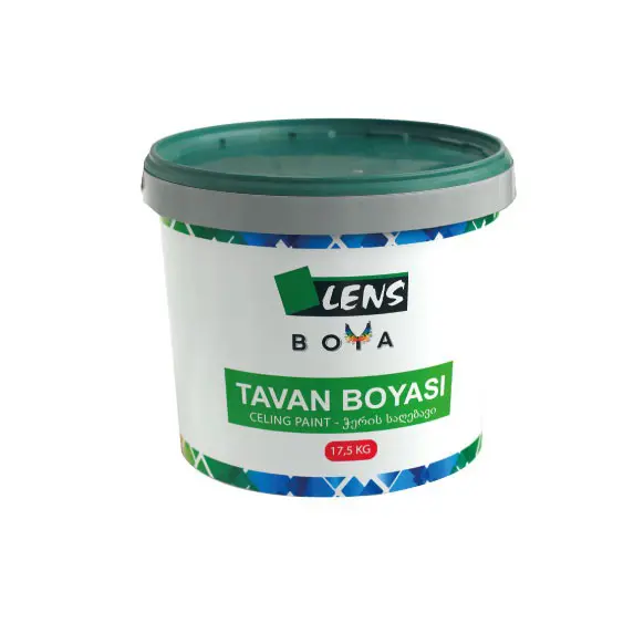 Ceiling paint