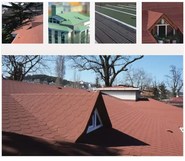 Classic Shingle