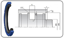 Piston Seal
