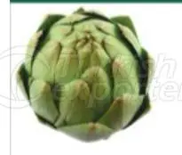 Alcachofra