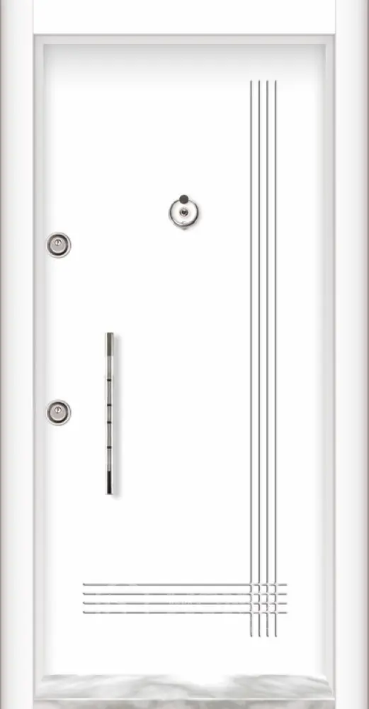 Steel Door