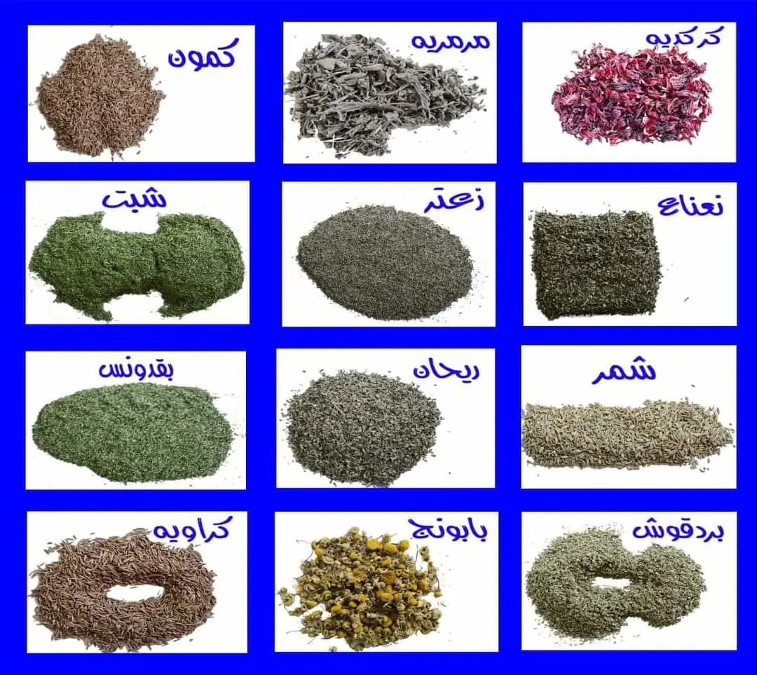 Herbs and spices