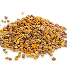 Eastern Anatolia Region Pollen