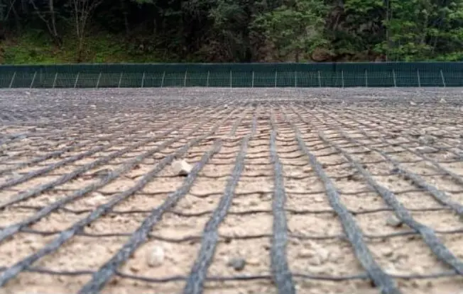 Geogrid
