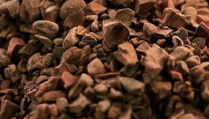Nibs of cocoa