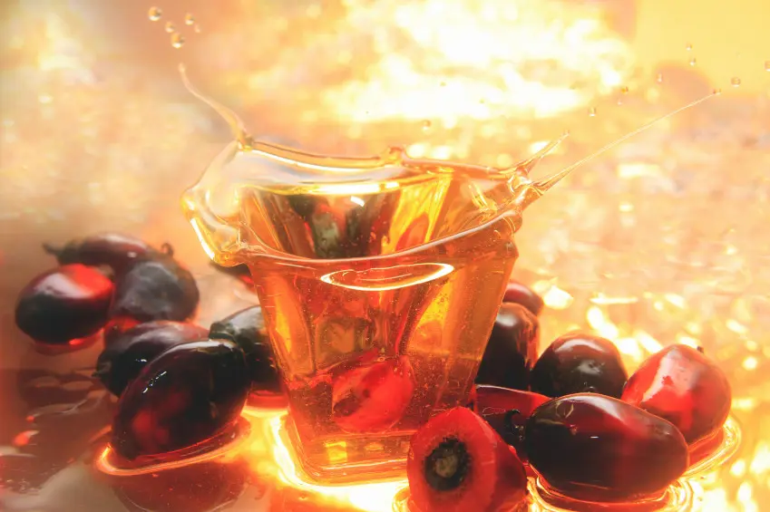 Grasas y aceites
