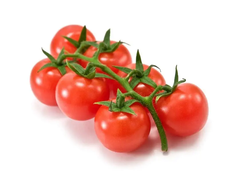 Tomato