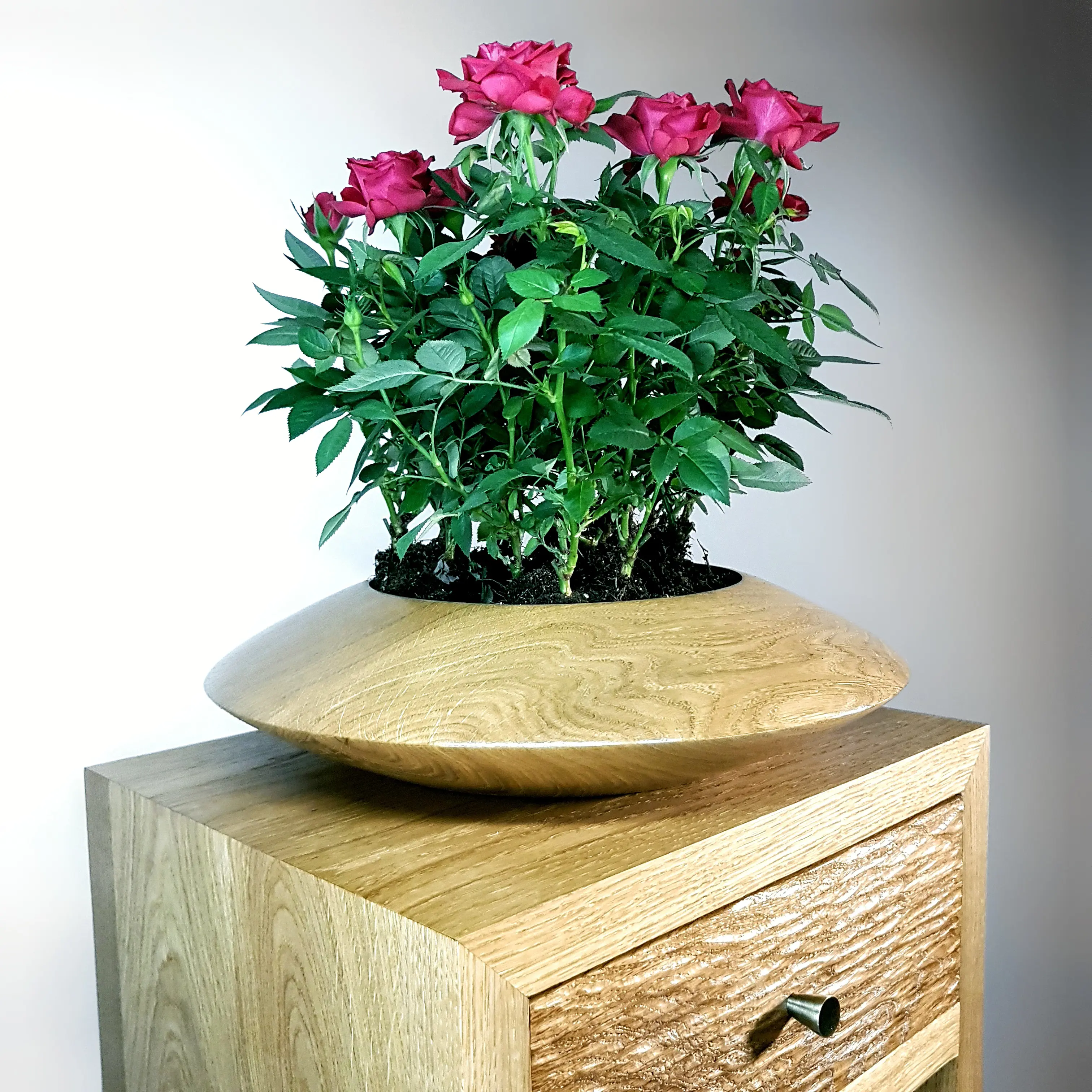 Cachepot-Ie Korolev Vyacheslav Yuryevich - Stylish Nature