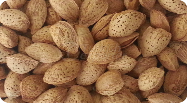 Almonds In Shell