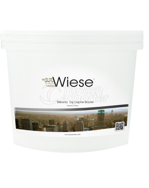 Exterior Paint