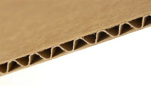 Corrugated Cardboard