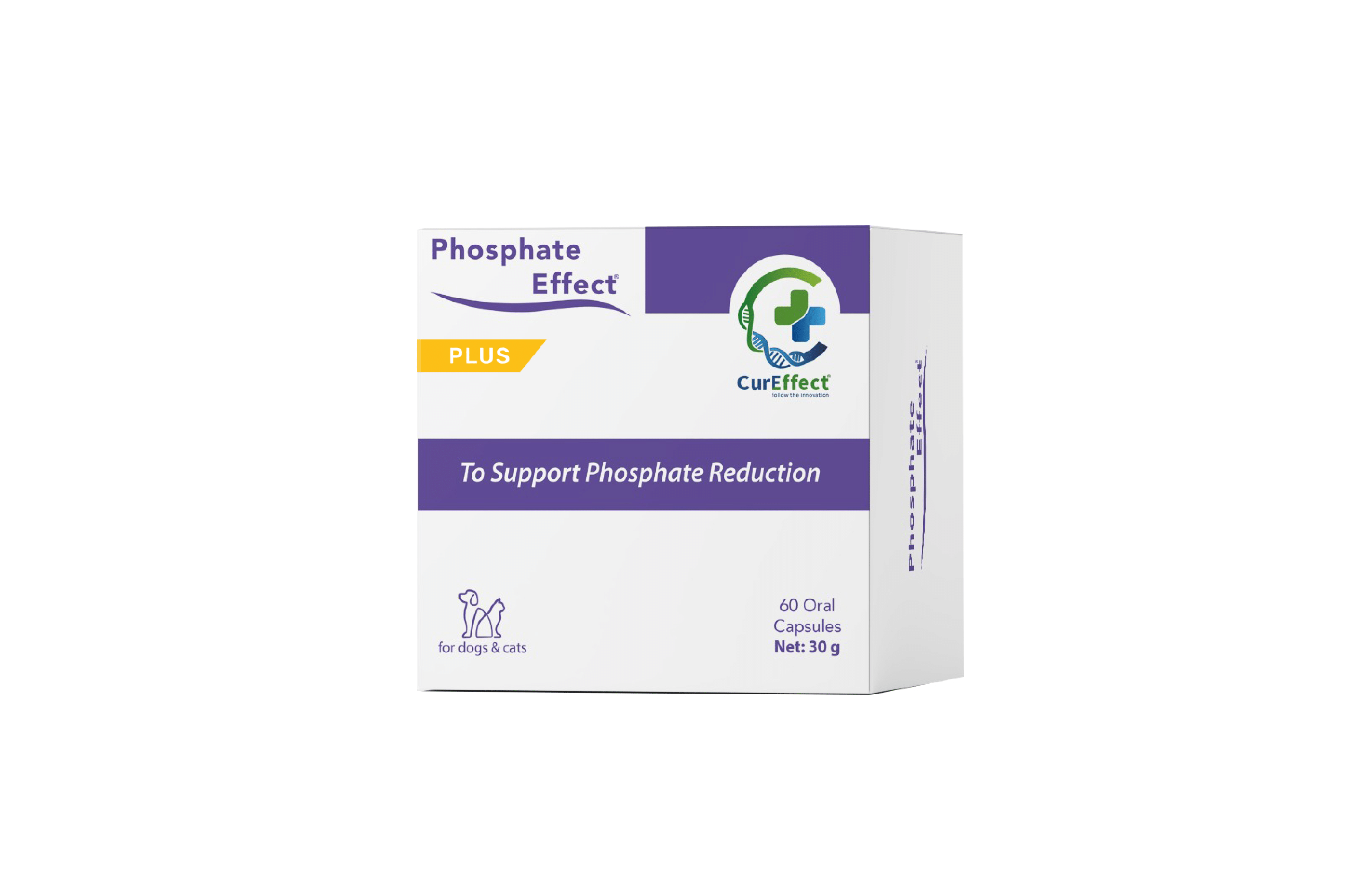 Supplement