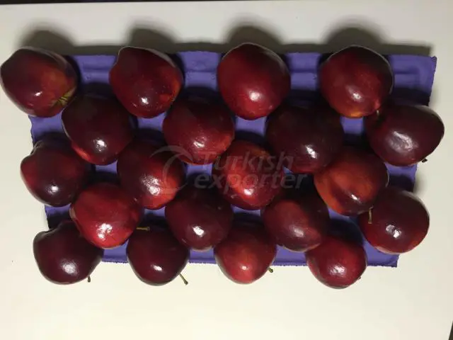 ИСПЫТАНИЯ MODI