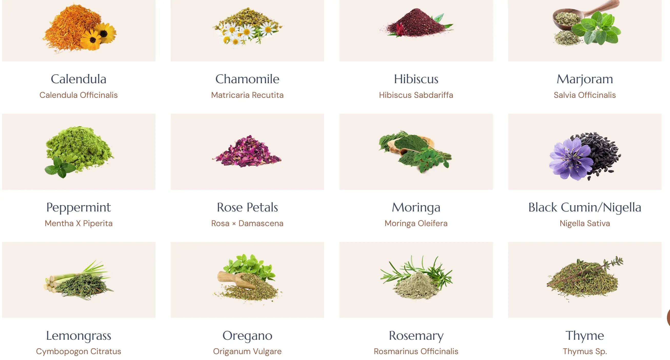 Aromatic herbs
