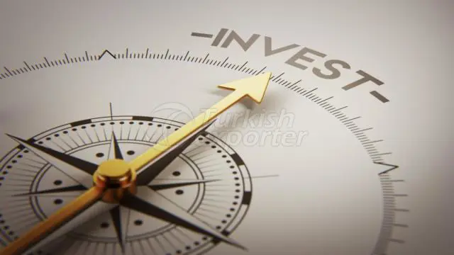 Project Investment