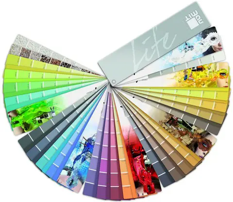 Exterior Paint