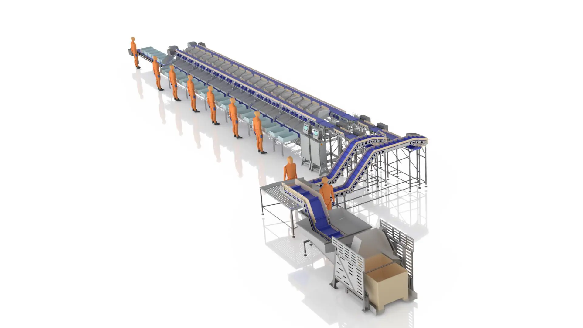 Seabass-Seabream Grader