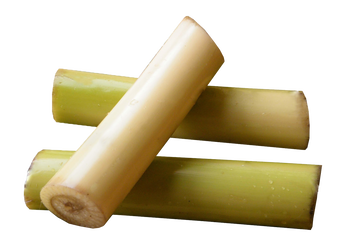 Banana Stems