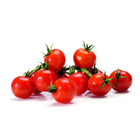 Tomato