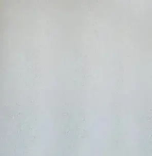 VANILLA ICE