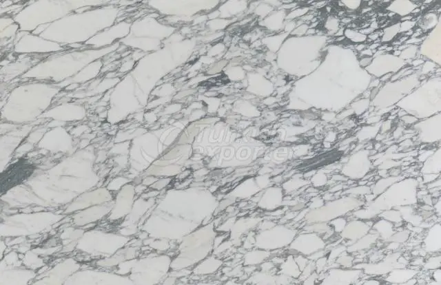 Marble Carcara