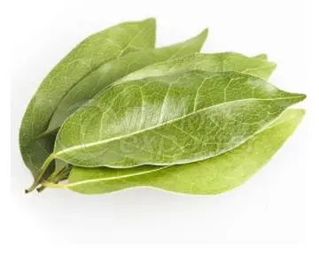 Laurel Leaves