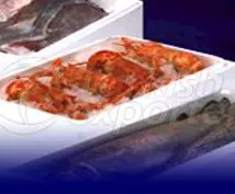 Fish Boxes