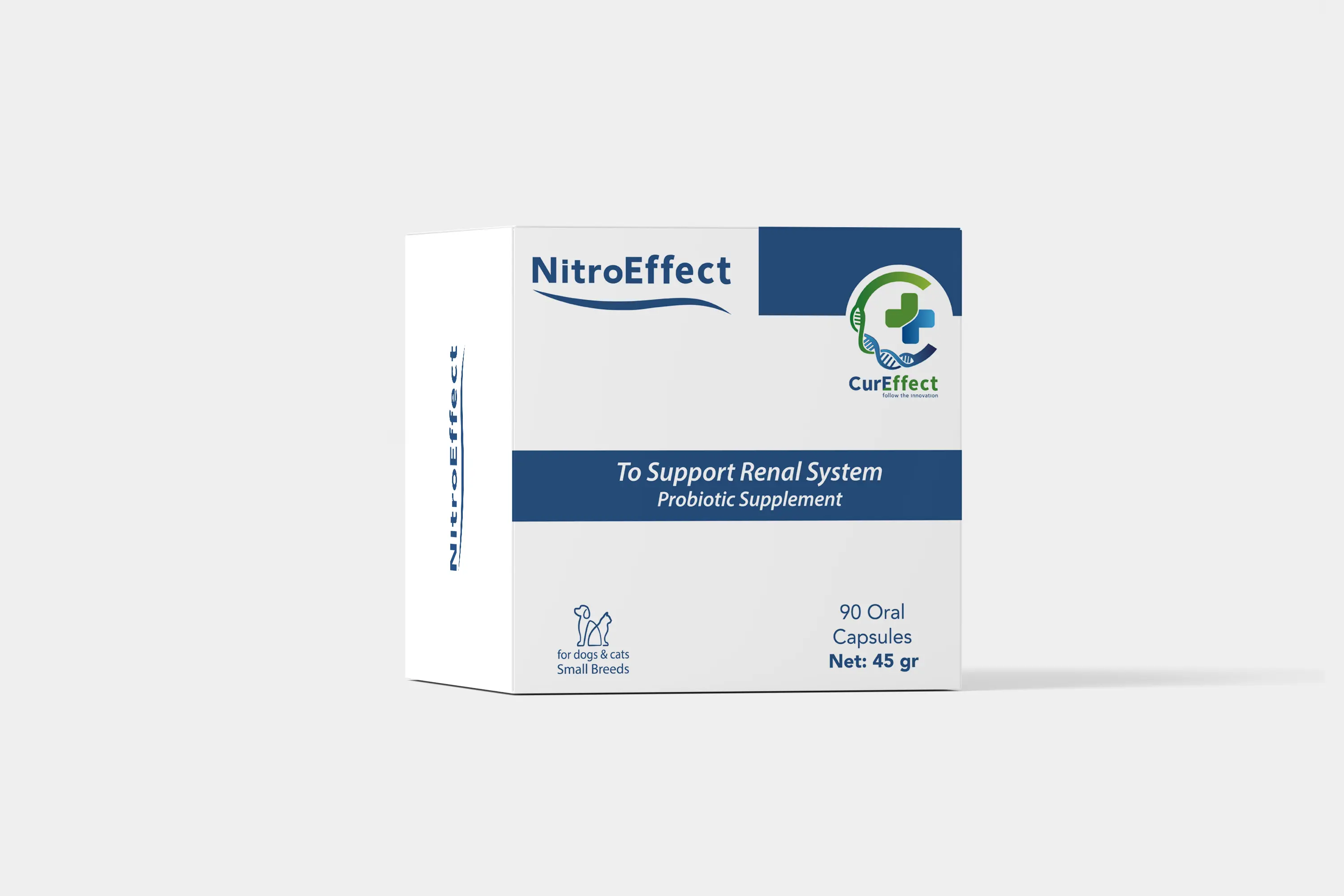 Supplement