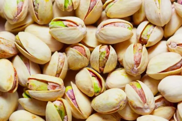 Pistachio