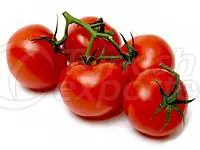Tomates