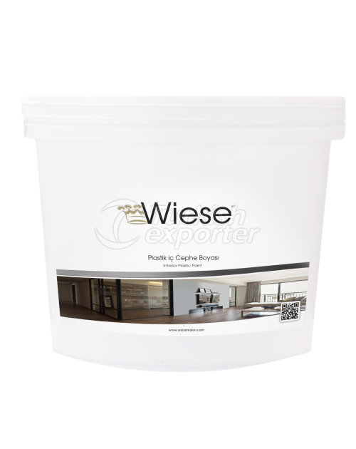 Interior Plastic Paint
