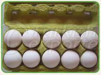 Viol for 10 Egg